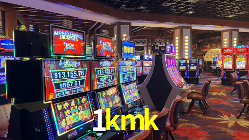 Premium Interface 1kmk